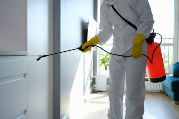 Best Emergency Mold Remediation in Goddard, KS